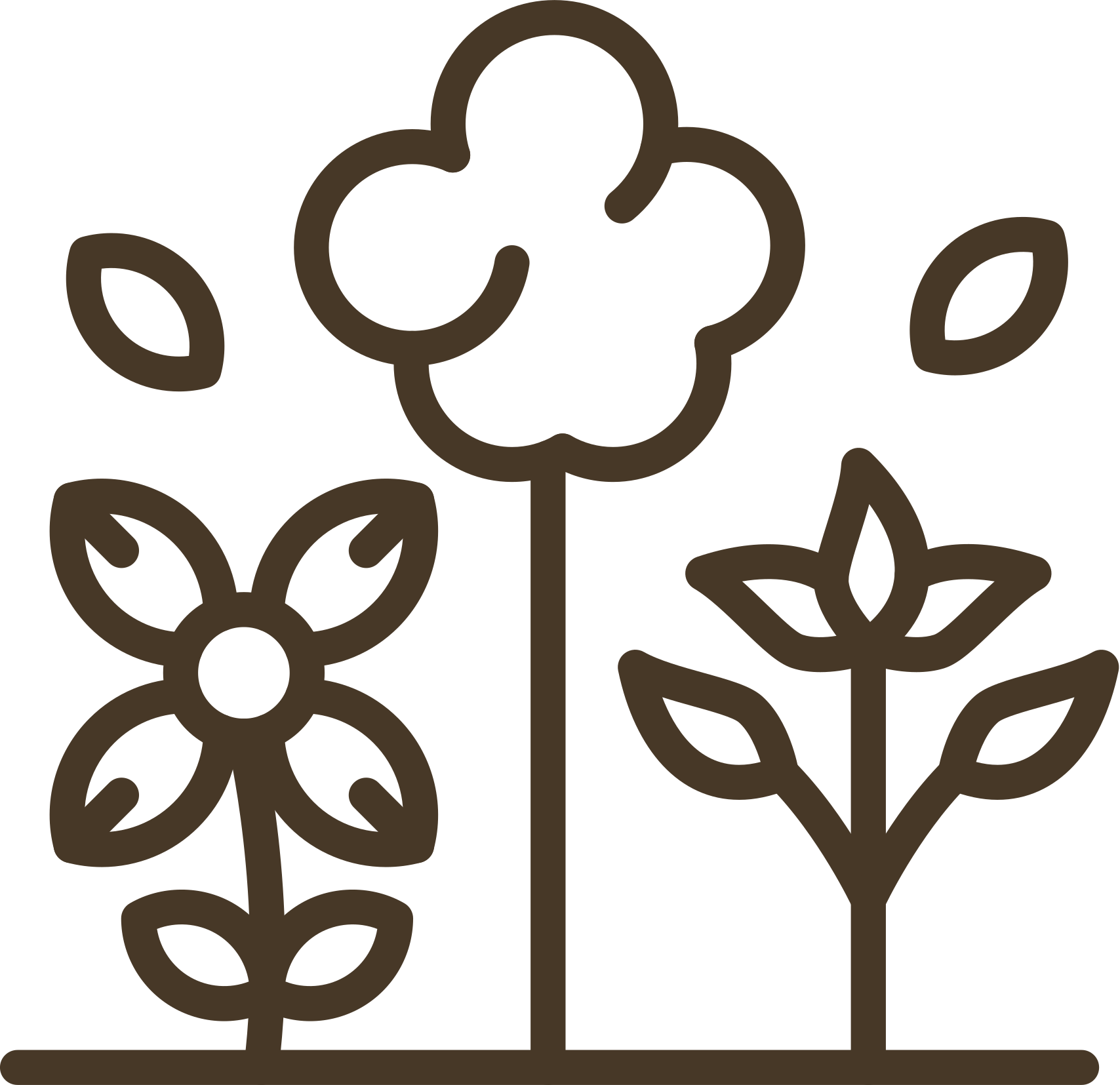 Vườn xanh Annam