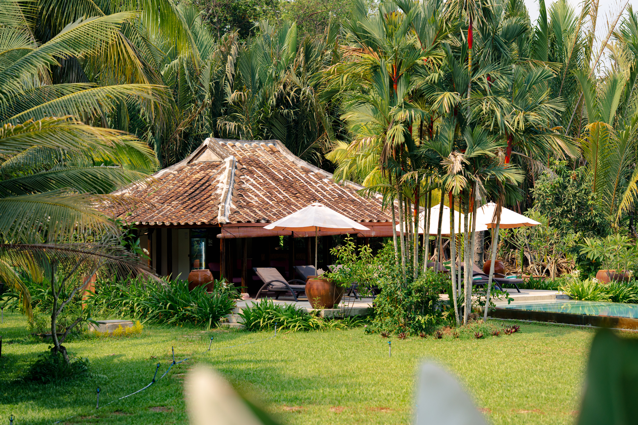 Mai Viên tại Annam Retreat
